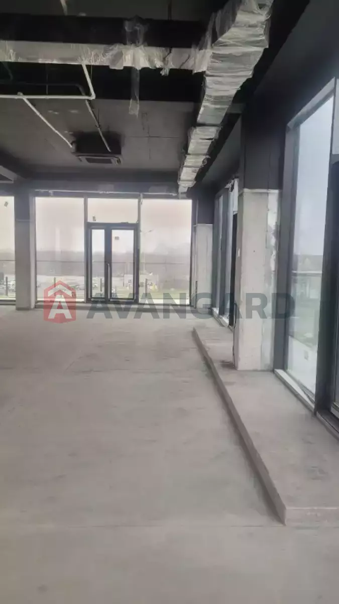 ���������� �����, 450 ��.�. ���� 13