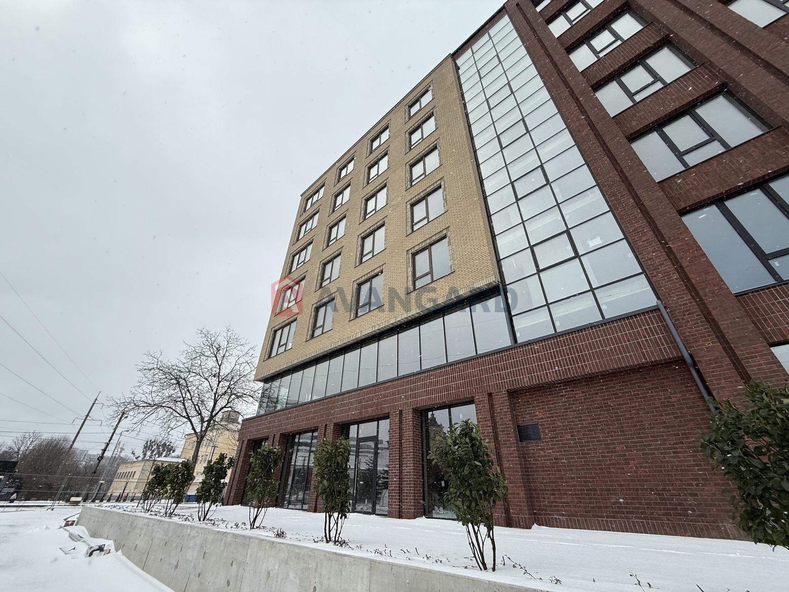 ���������� �����, ����, ���, ��������, ����� ������, 80 ��.�. ���� 21