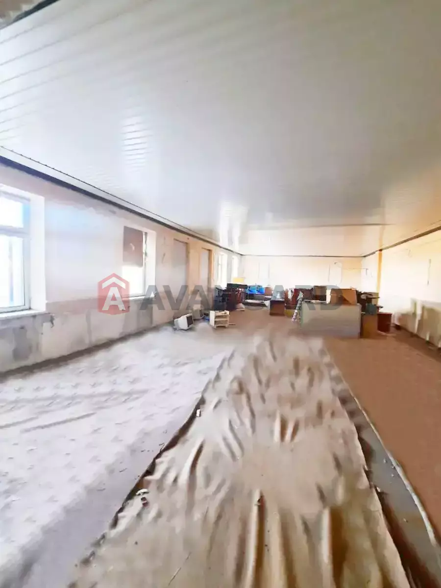 ���������� �����, 80 ��.�. ���� 7