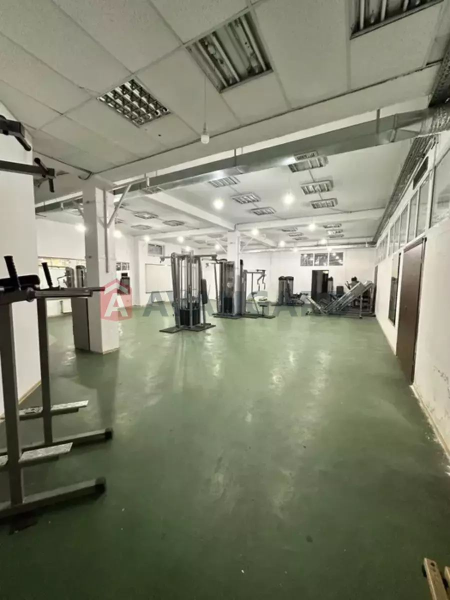 ���������� �����, 50 ��.�. ���� 12