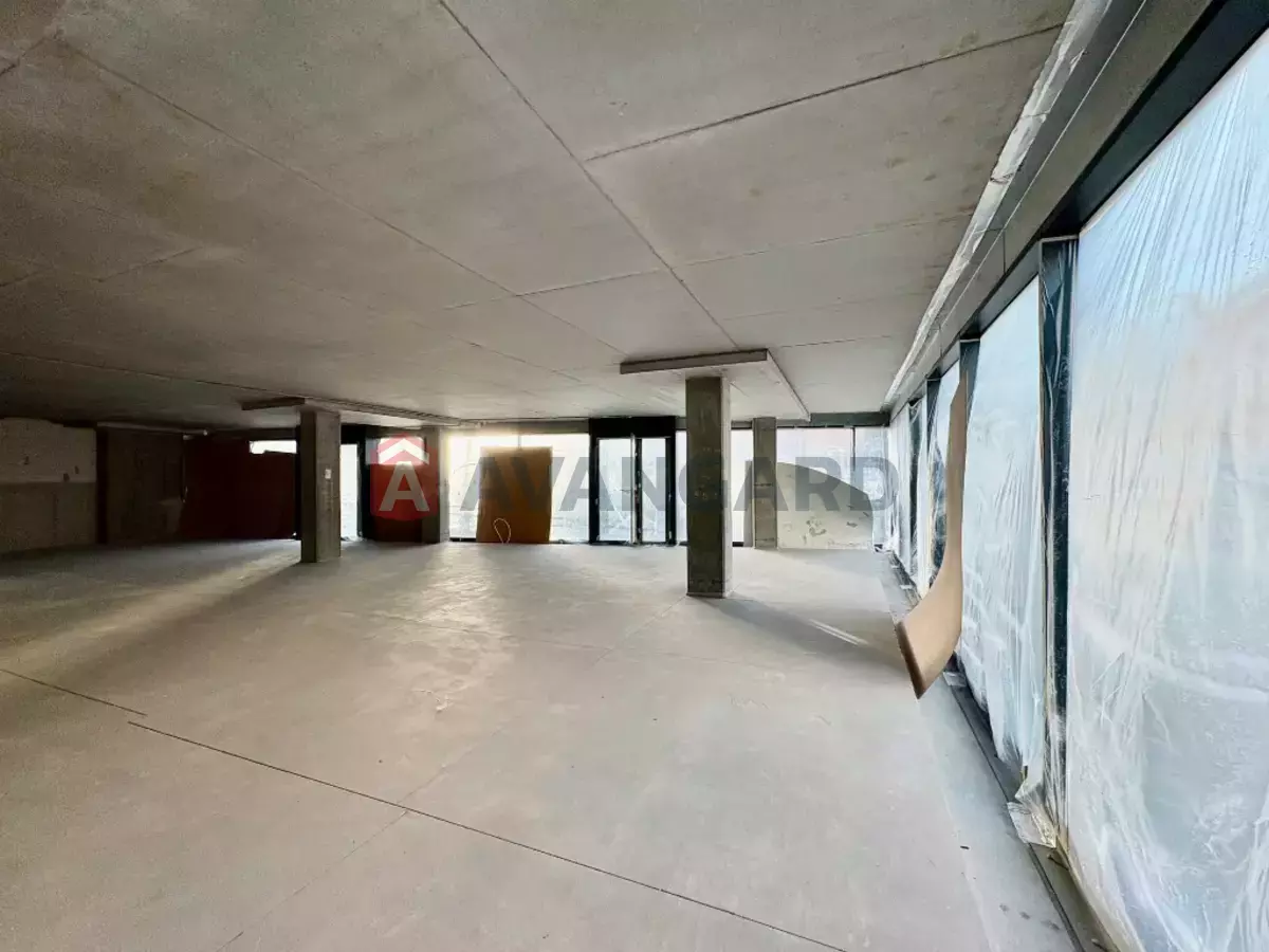 ����, ���, ��������, 428 ��.�. ���� 15