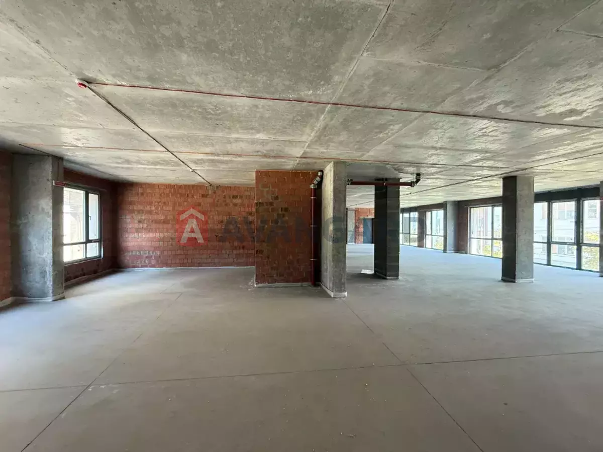 ���������� �����, 240 ��.�. ���� 13