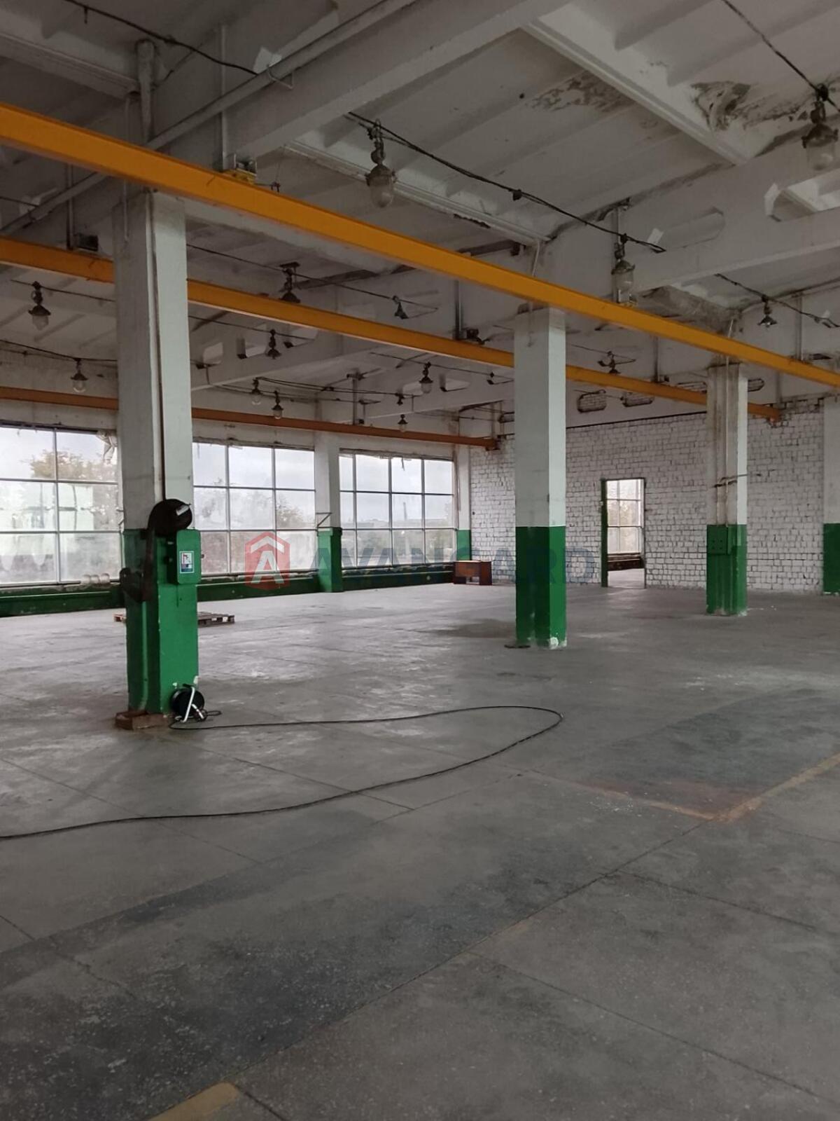 1250 кв.м. фото 1 1250 кв.м. фото 1