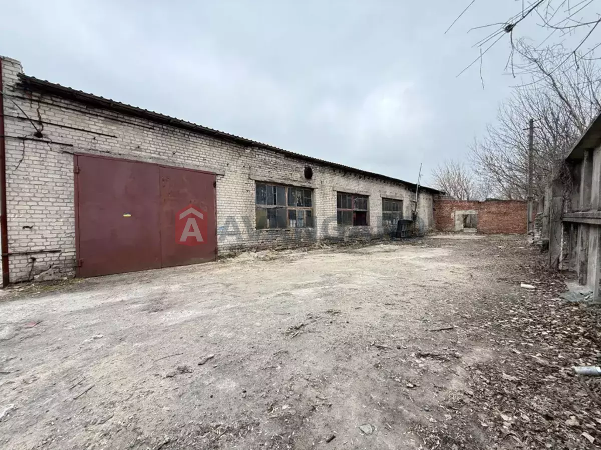 ���������� �����, 350 ��.�. ���� 10