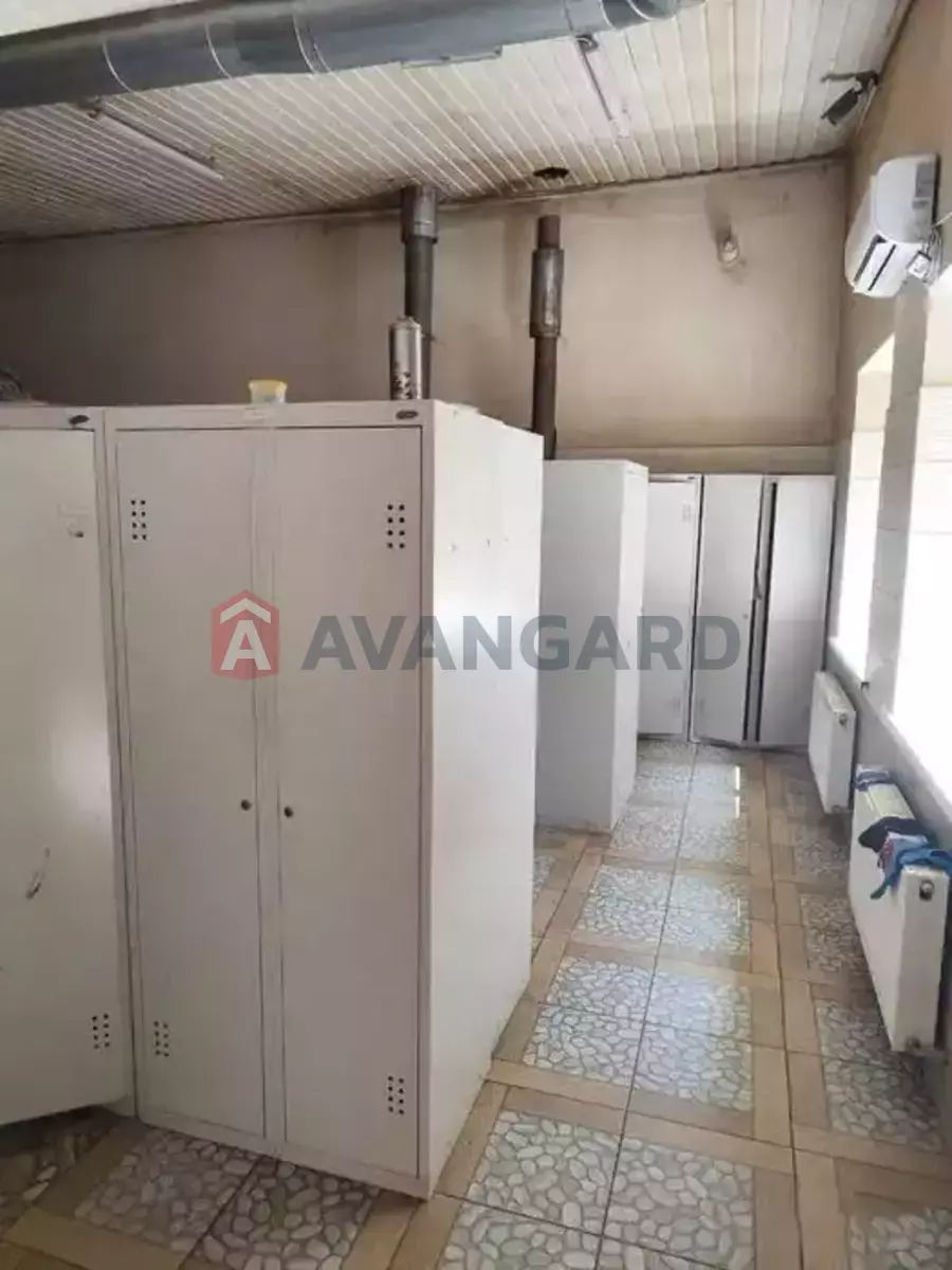 ���������� �����, 80 ��.�. ���� 11