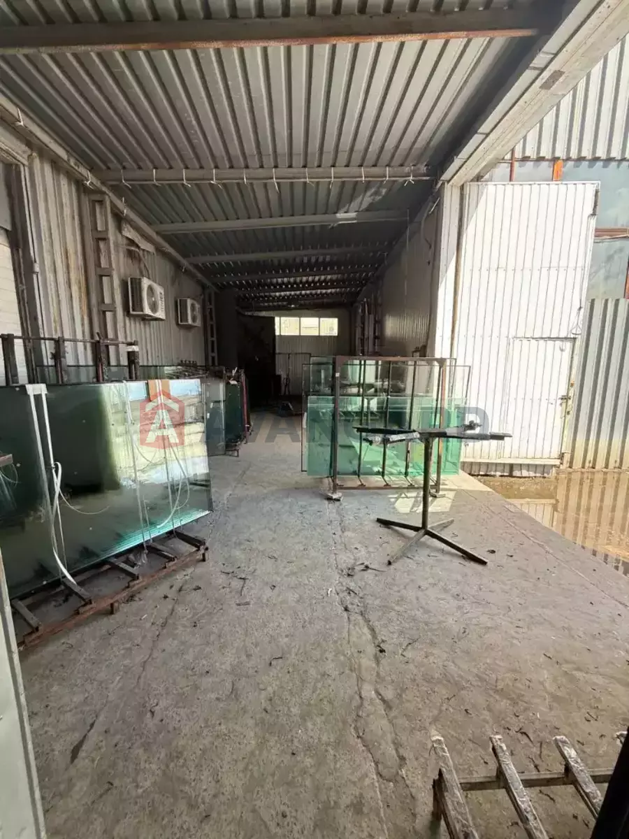 ���������� �����, 4000 ��.�. ���� 17