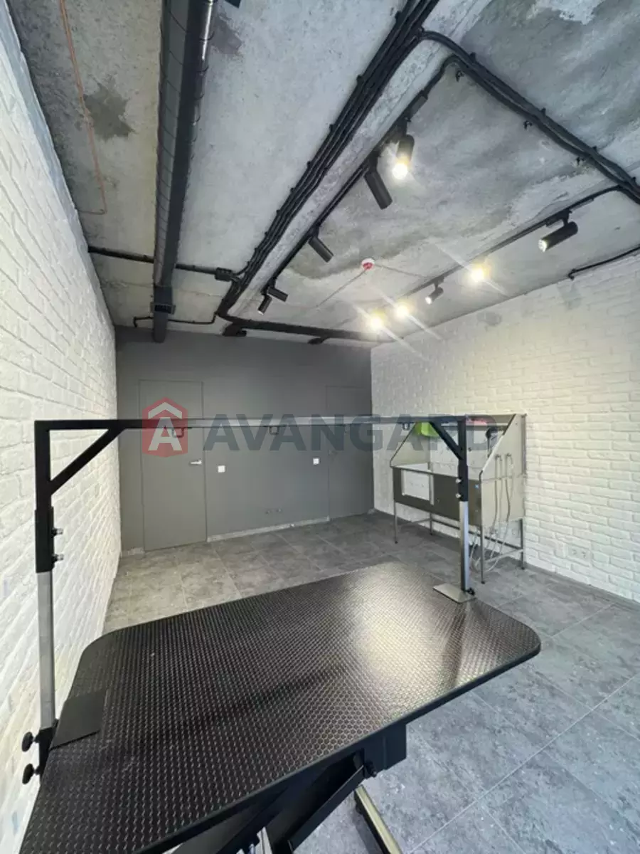 �������� �������, 48 ��.�. ���� 20