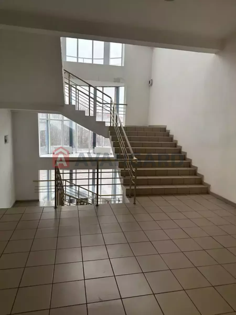 ���������� �����, 50 ��.�. ���� 2