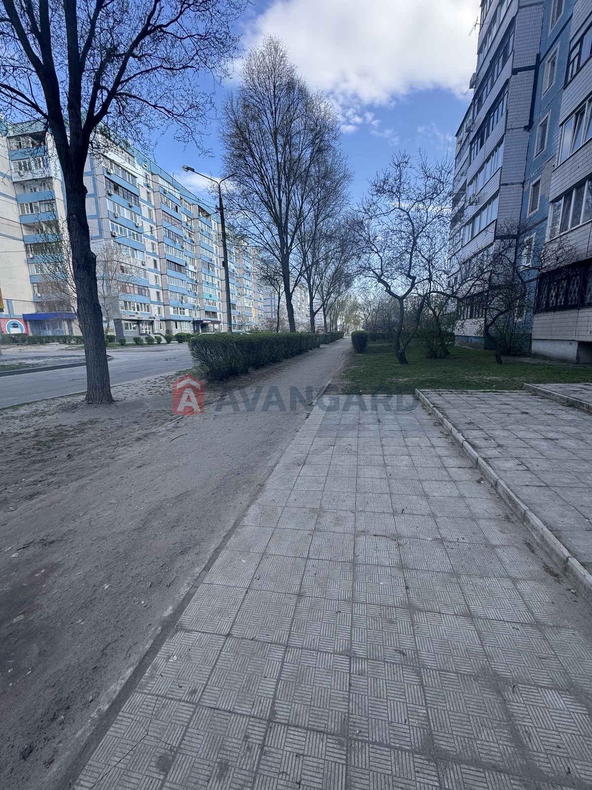 �������� �������, ����, ���, ��������, ����� �����, 71 ��.�. ���� 3