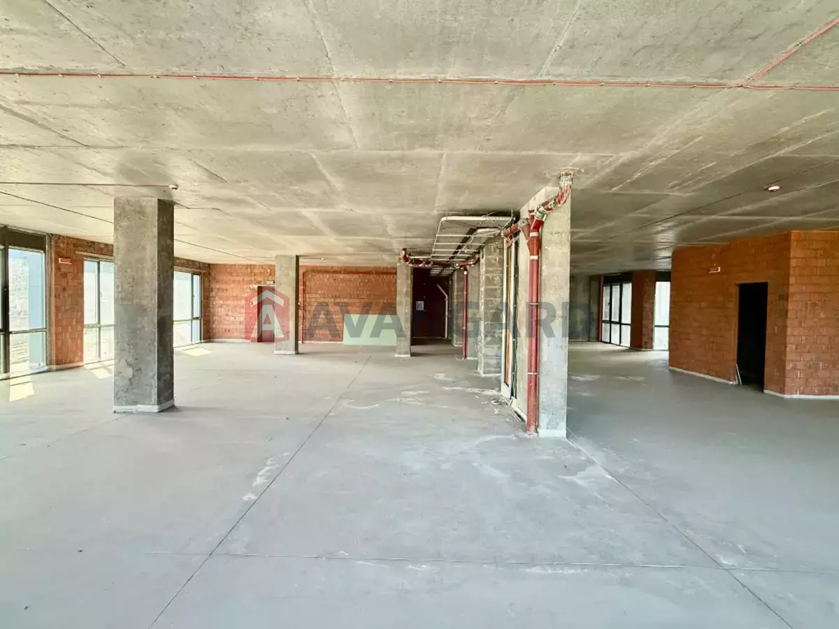 �������� �������, 292 ��.�. ���� 11