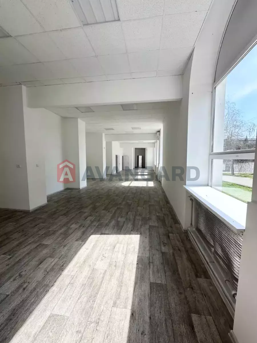 ���������� �����, 315 ��.�. ���� 7