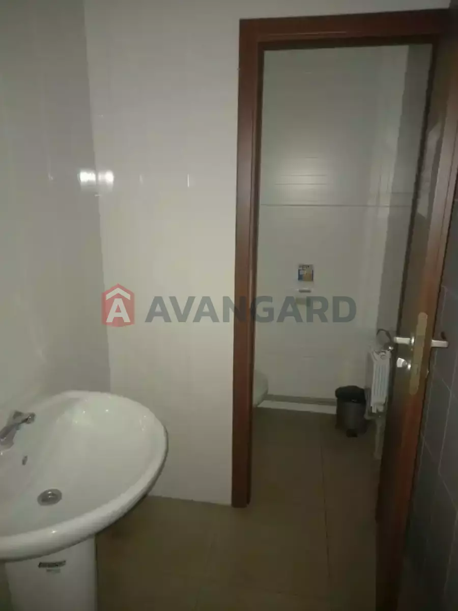 ���������� �����, 1510 ��.�. ���� 20