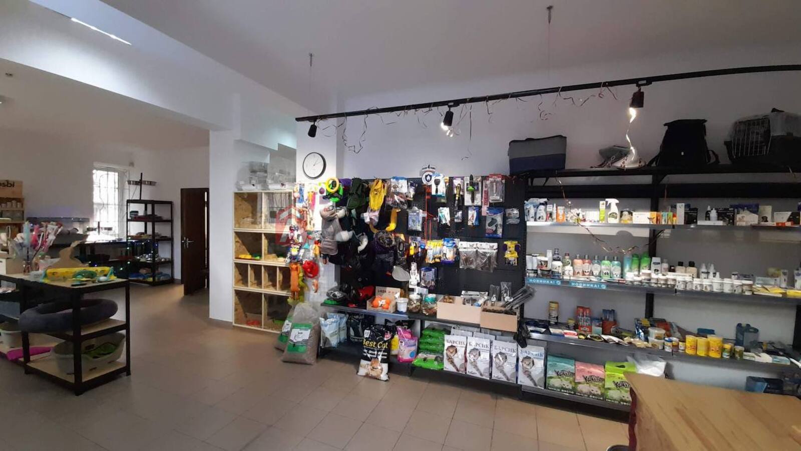 ���������� �����, 48 ��.�. ���� 5