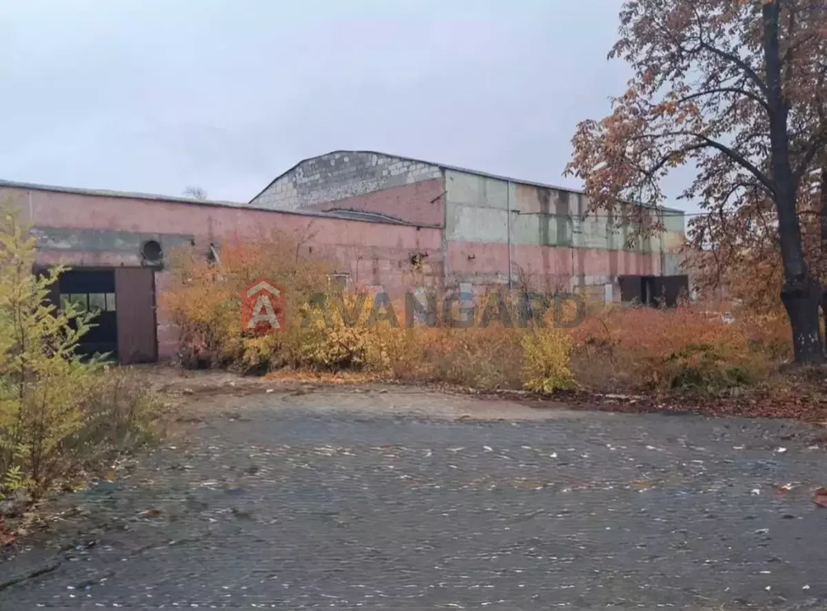 �������� �������, 1200 ��.�. ���� 6