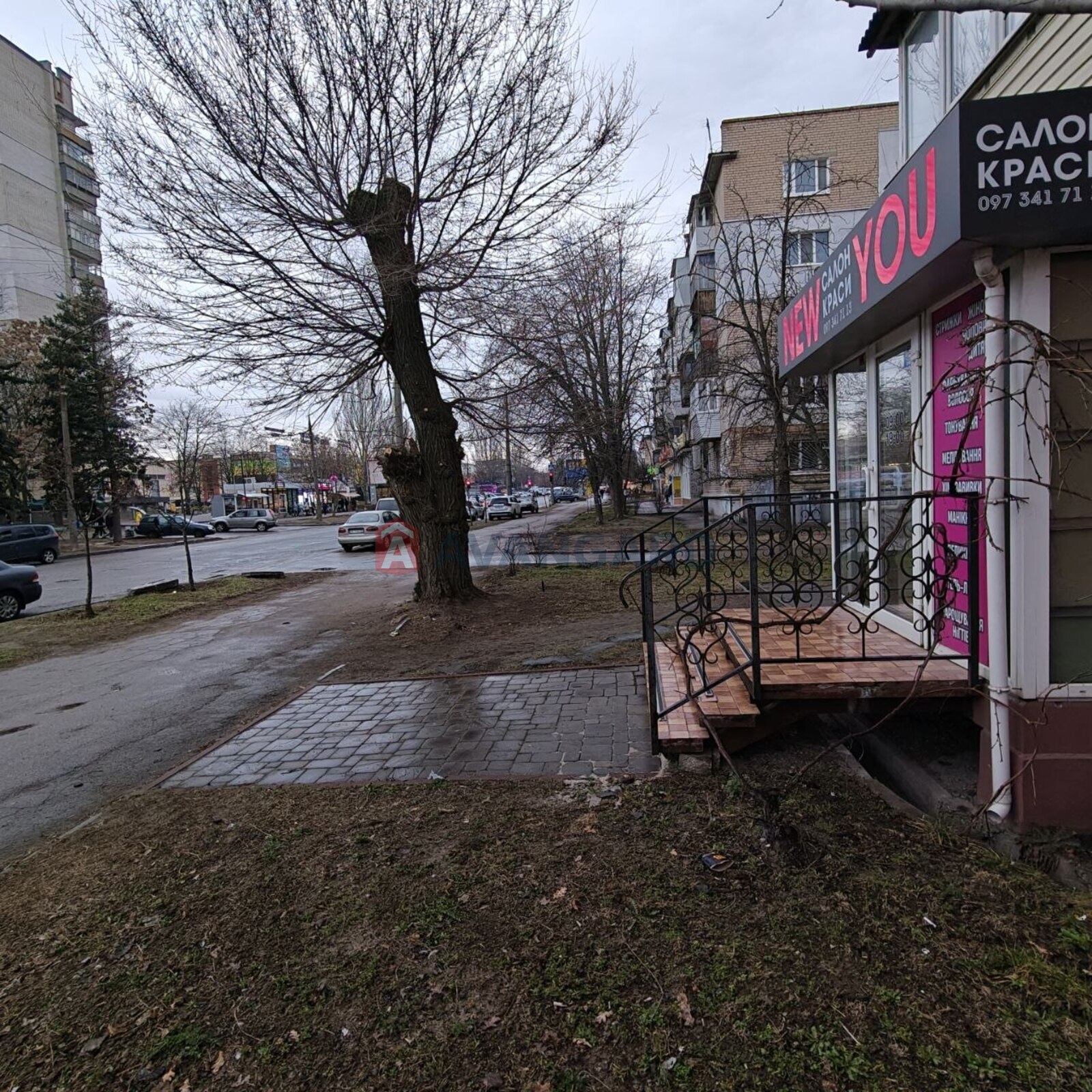 ����� �����, 55 ��.�. ���� 15