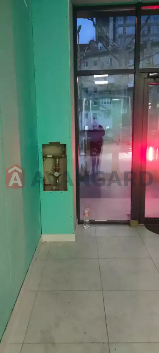 �������� �������, 75 ��.�. ���� 8