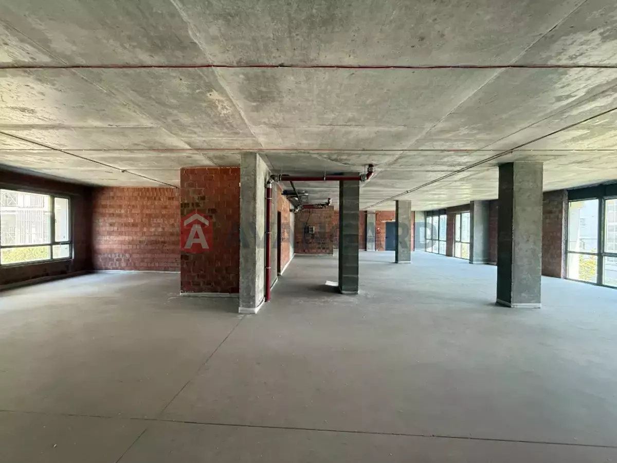 ���������� �����, 240 ��.�. ���� 12