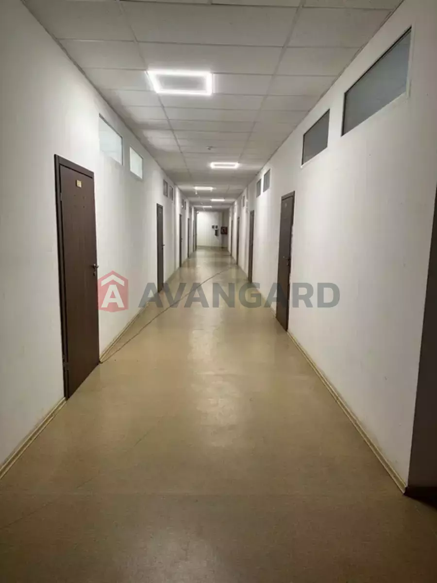 ���������� �����, 50 ��.�. ���� 10