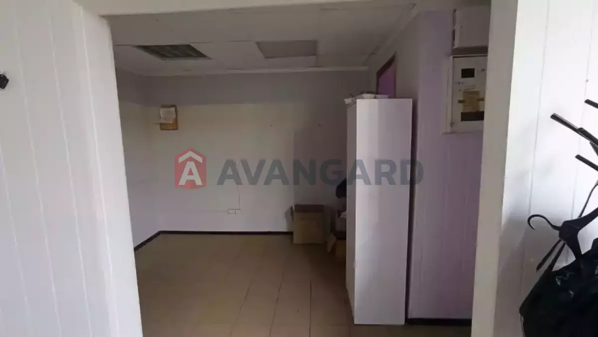 ����� �����, 33 ��.�. ���� 1