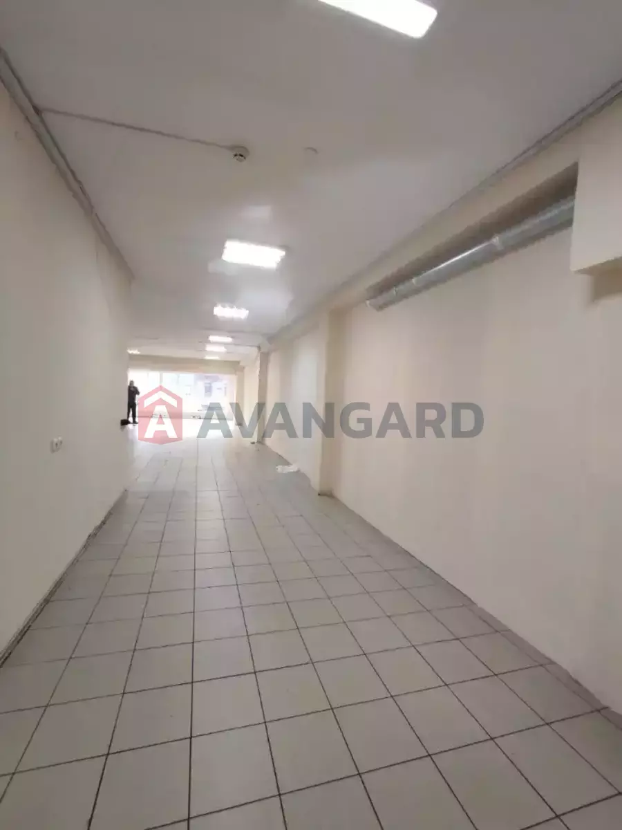 ���������� �����, 230 ��.�. ���� 4