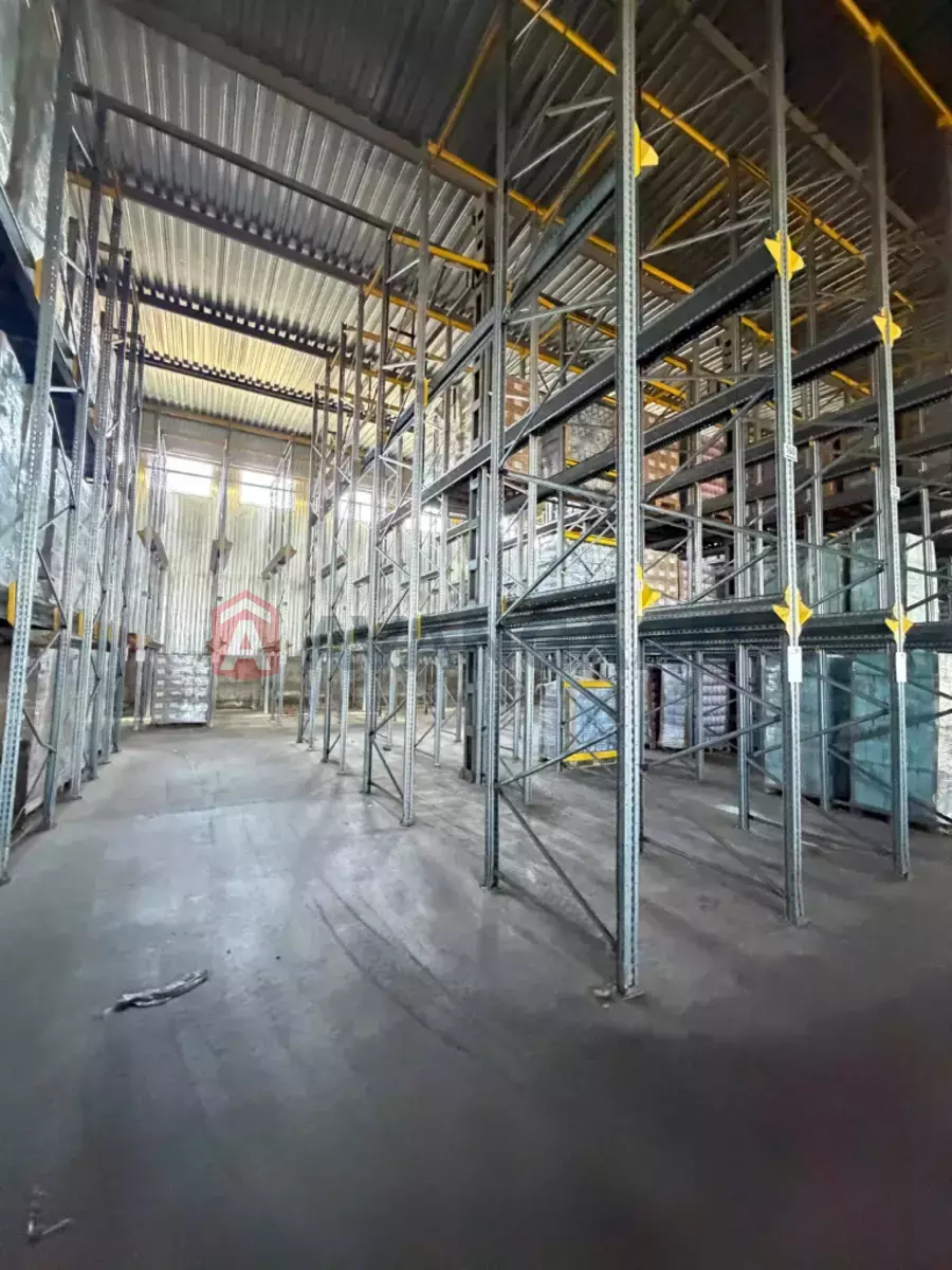 ��������� ���������, 3700 ��.�. ���� 5