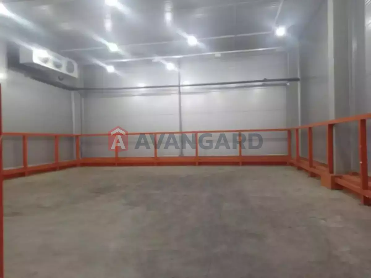 ��������� ���������, 2000 ��.�. ���� 4