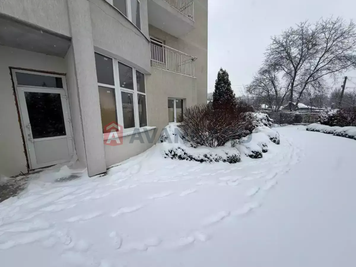 ��������� ���������, 137 ��.�. ���� 2