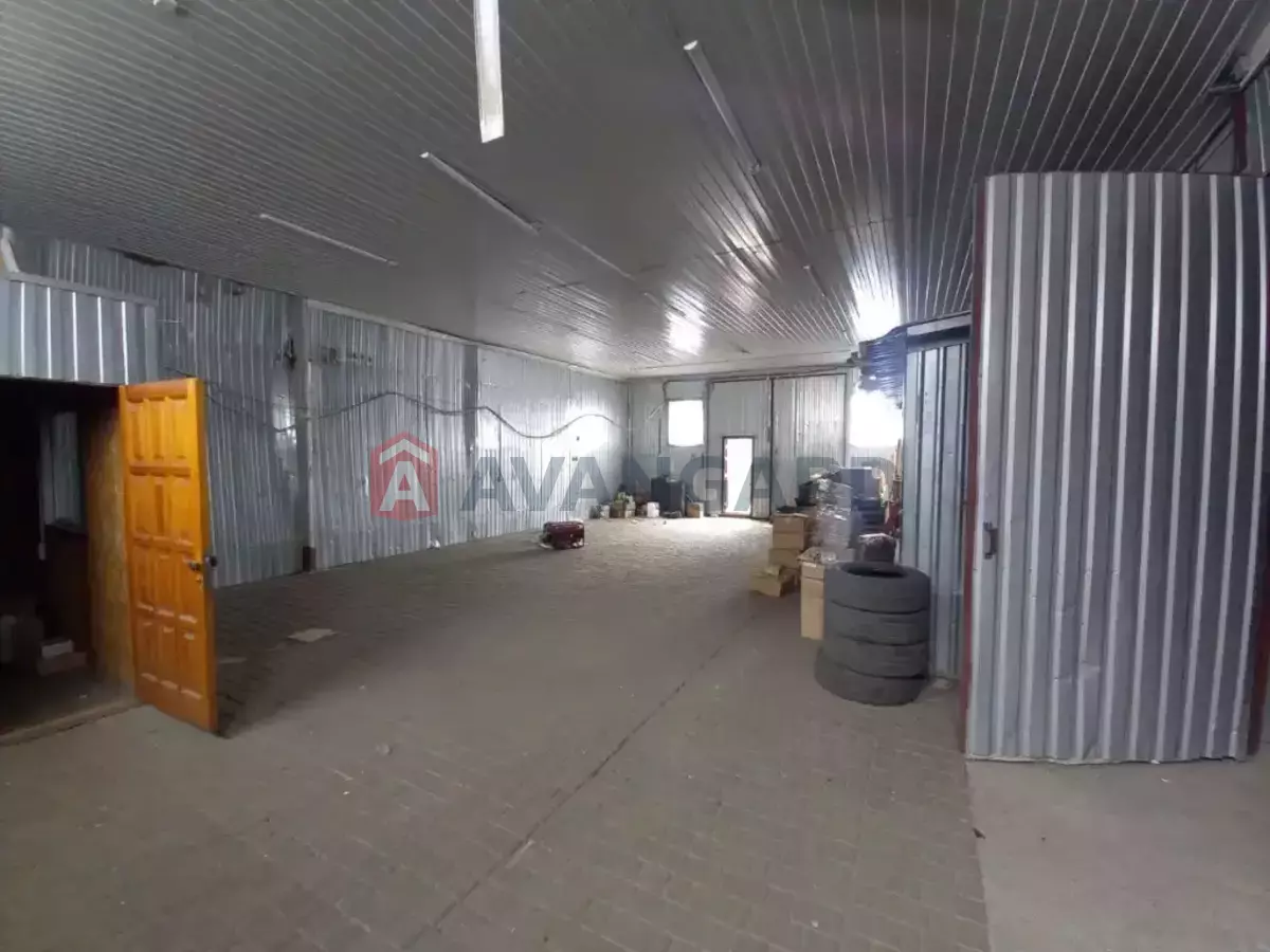 ��������� ���������, 250 ��.�. ���� 11