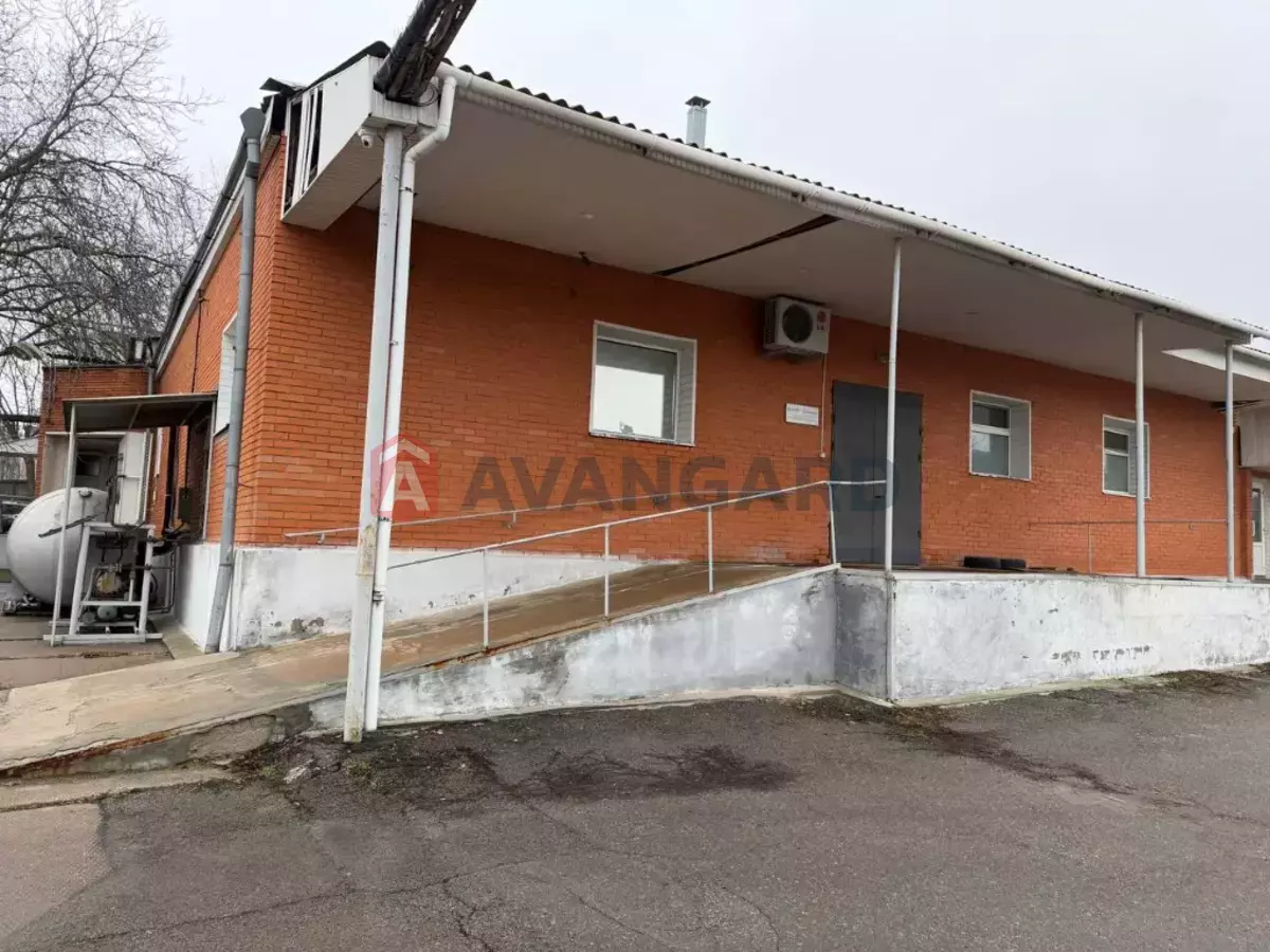 ���������������� ���������, 580 ��.�. ���� 18