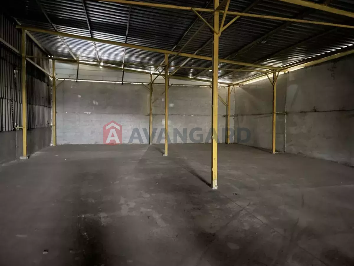 ��������� ���������, 860 ��.�. ���� 6