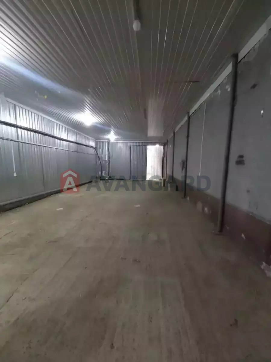 ��������� ���������, 250 ��.�. ���� 2