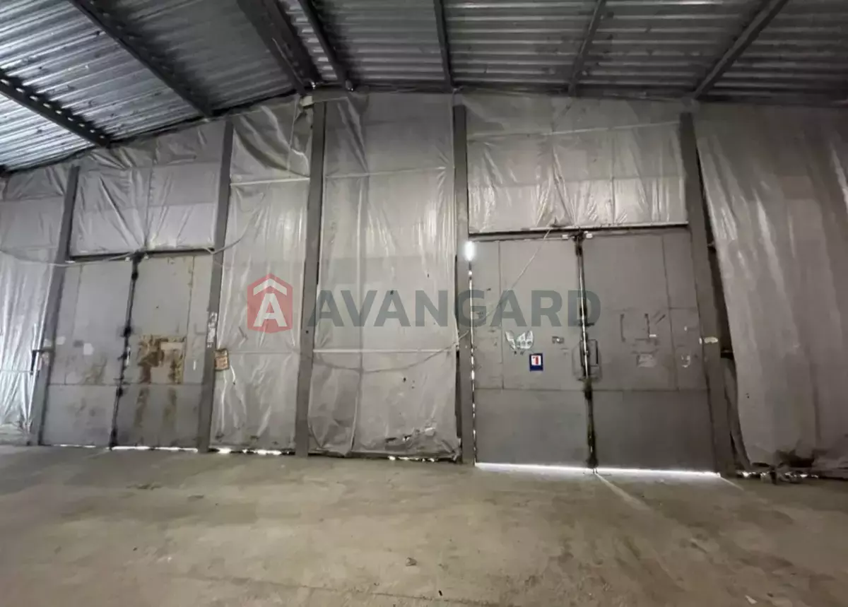 ��������� ���������, 1000 ��.�. ���� 4