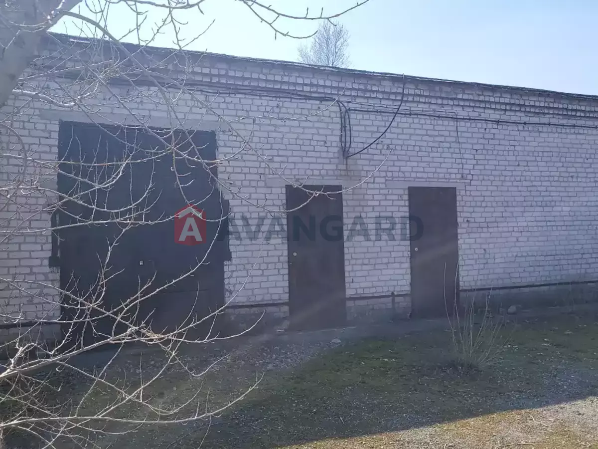 ���������������� ���������, 1900 ��.�. ���� 15