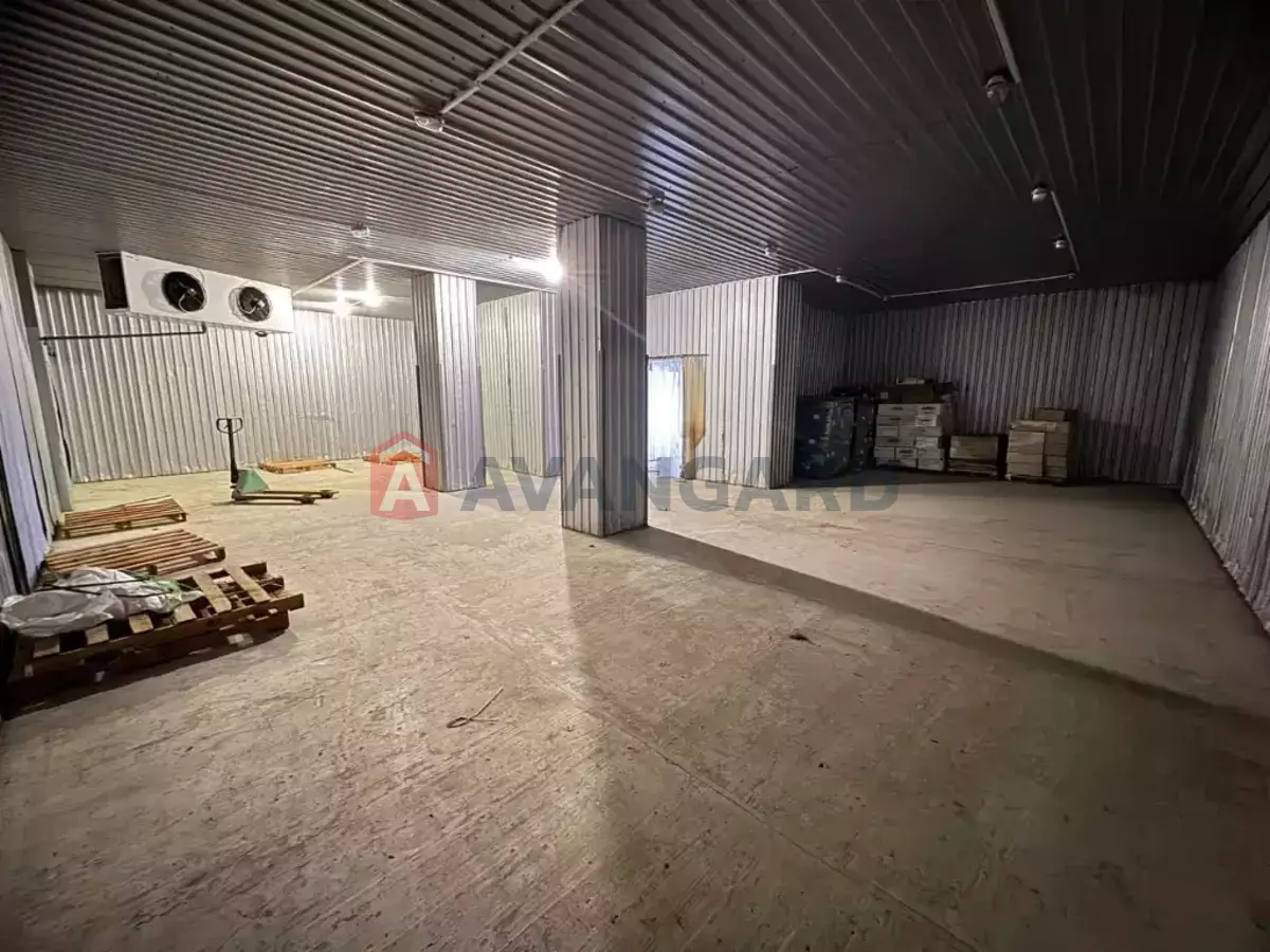 ��������� ���������, 100 ��.�. ���� 1