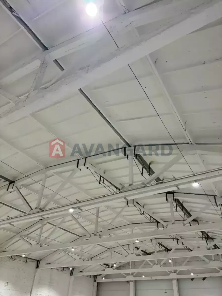 ��������� ���������, 1010 ��.�. ���� 13