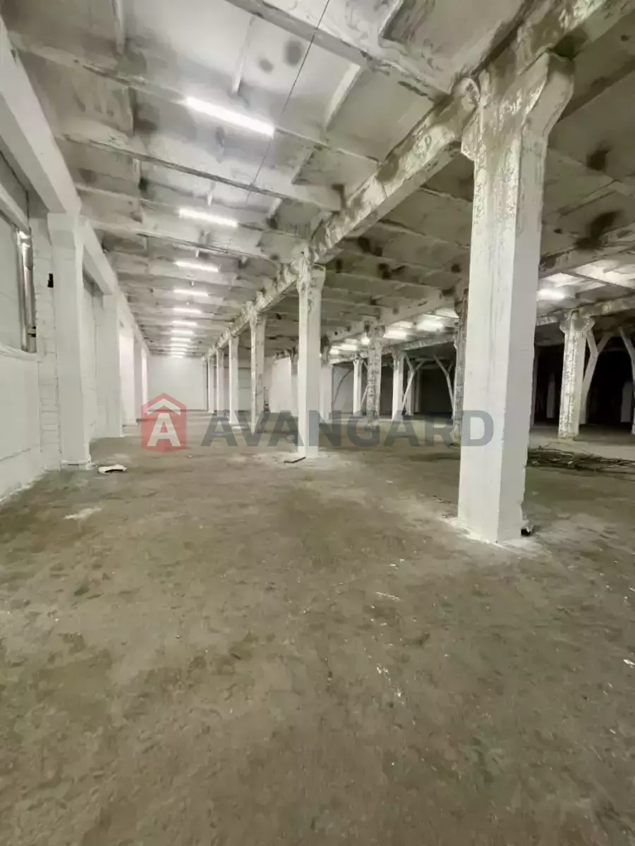 ��������� ���������, 4250 ��.�. ���� 3