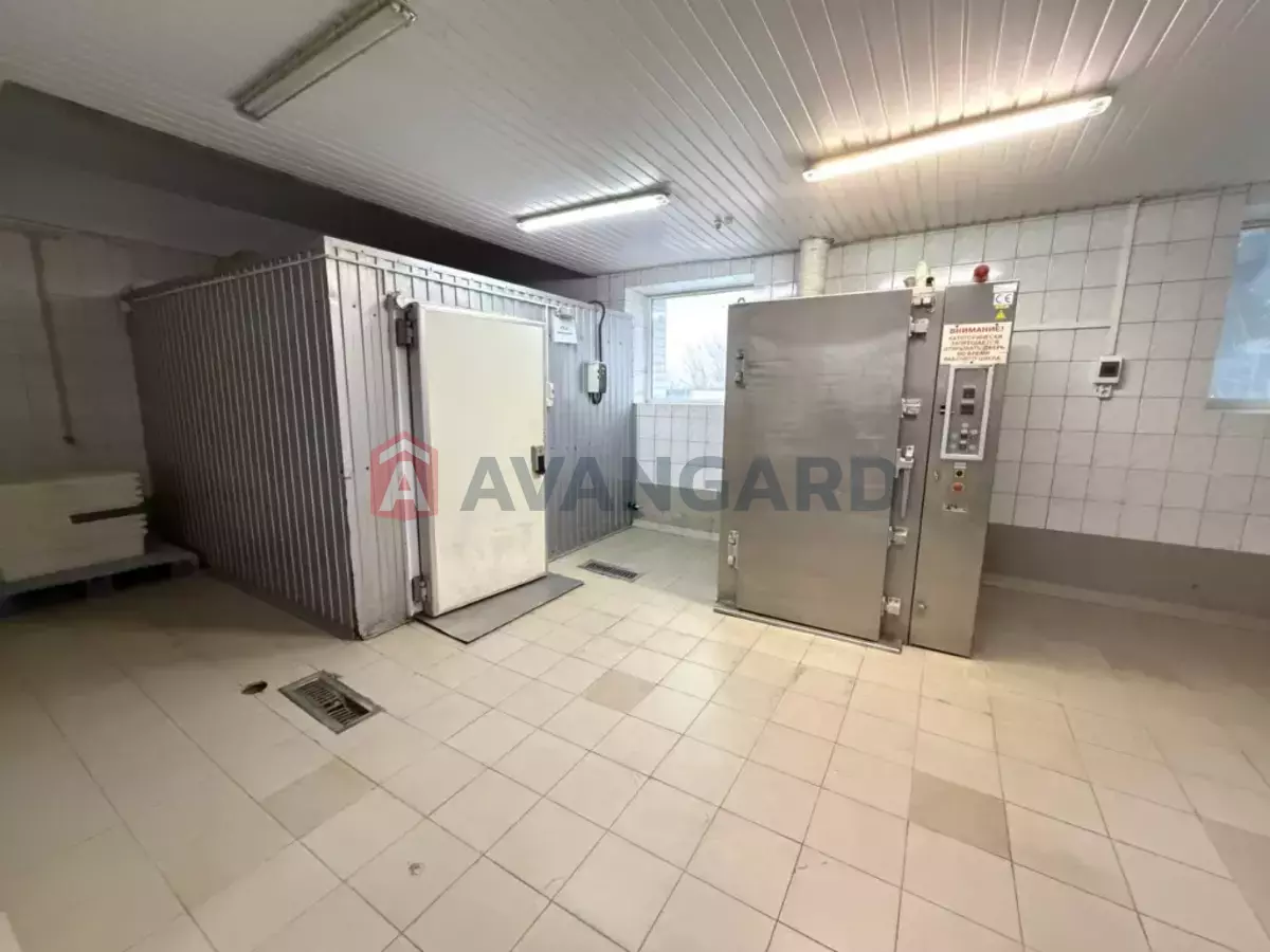 ���������������� ���������, 580 ��.�. ���� 9