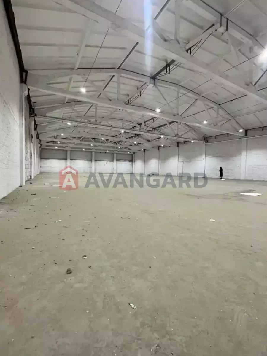 ��������� ���������, 1120 ��.�. ���� 6