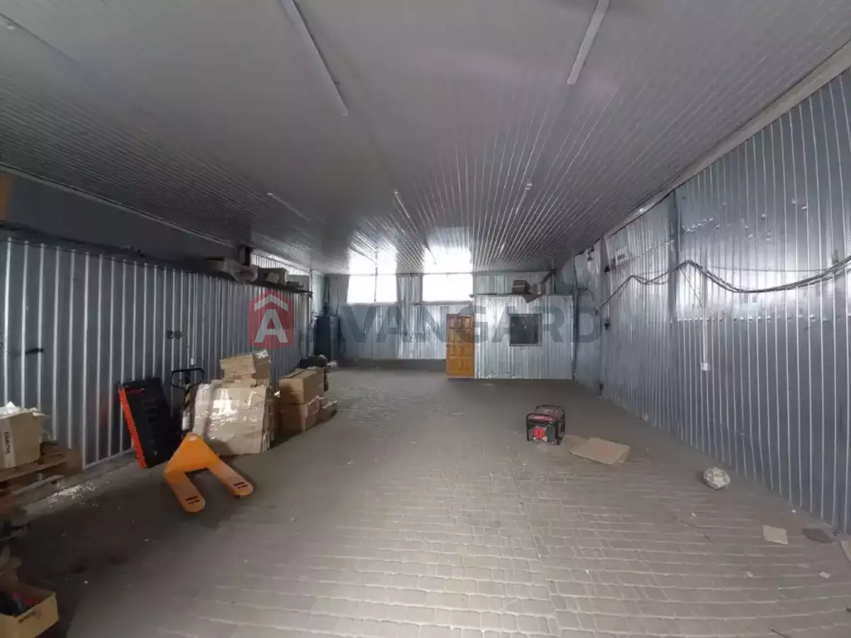 ��������� ���������, 250 ��.�. ���� 12