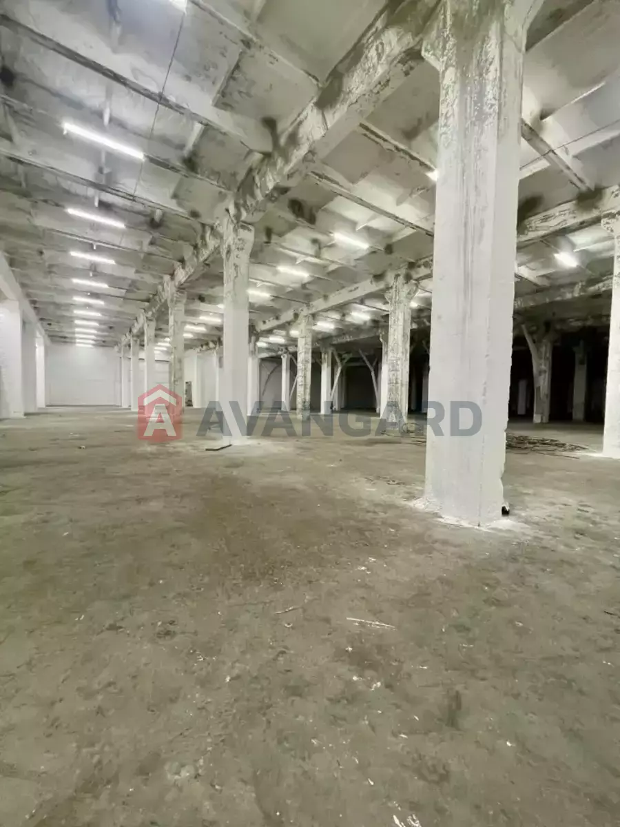 ��������� ���������, 4250 ��.�. ���� 5