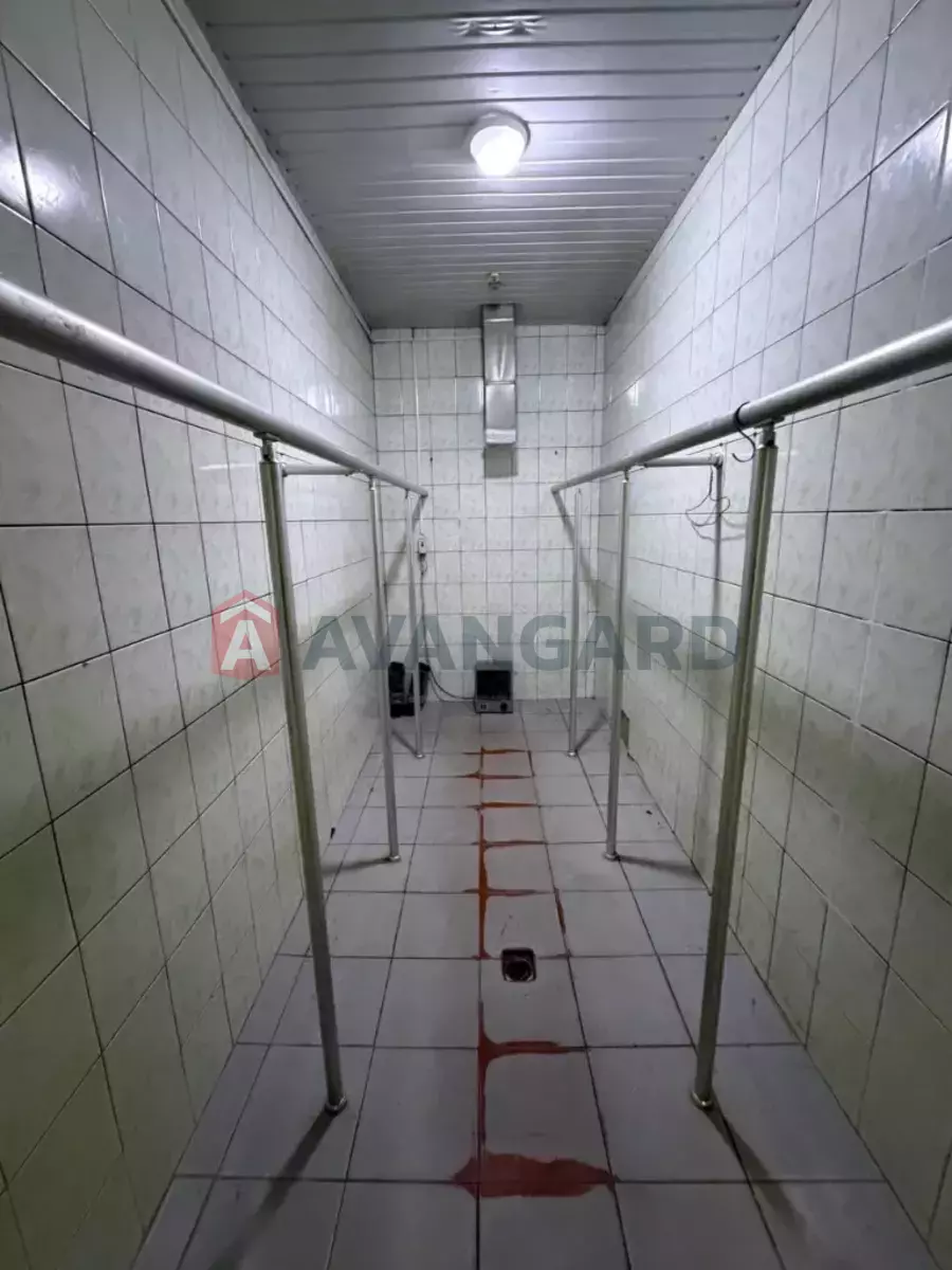 ���������������� ���������, 580 ��.�. ���� 15