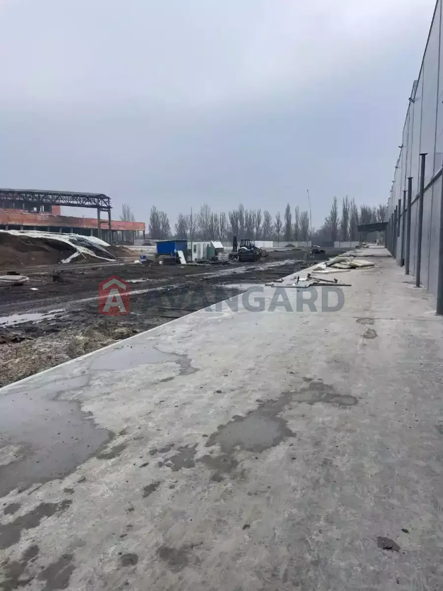 ��������� ���������, 1150 ��.�. ���� 16