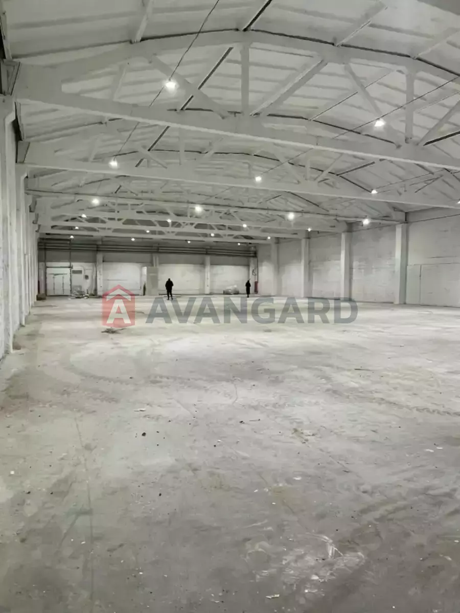 ��������� ���������, 1150 ��.�. ���� 5