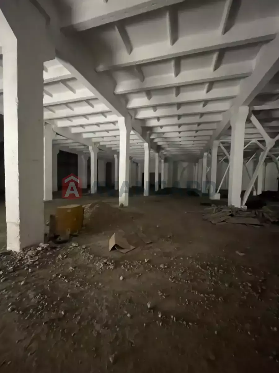 ��������� ���������, 4600 ��.�. ���� 25