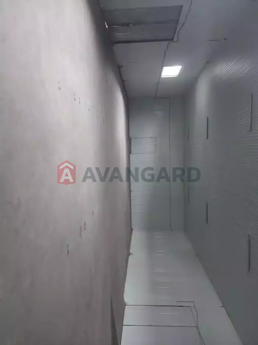 ��������� ���������, 300 ��.�. ���� 3