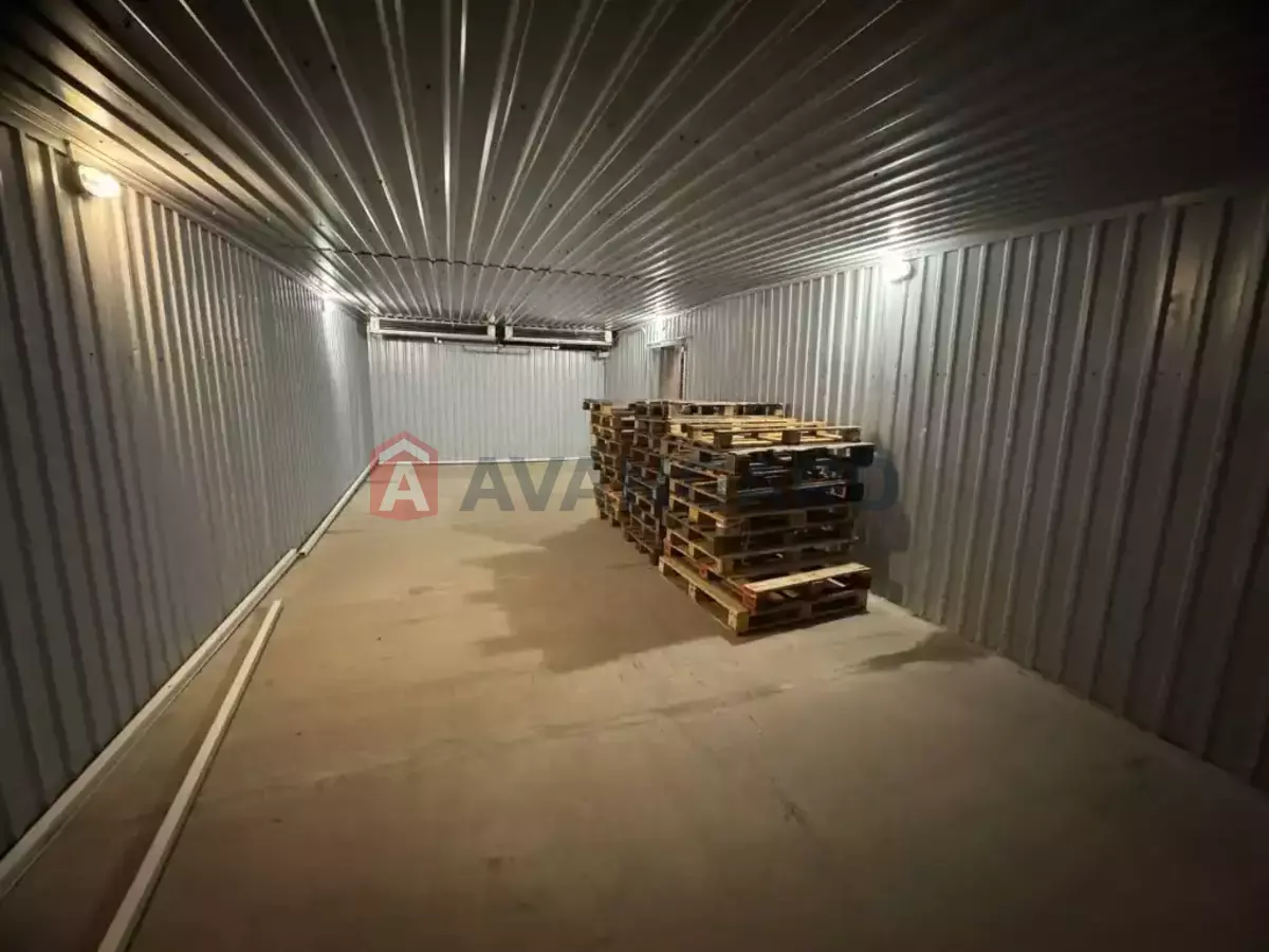 ��������� ���������, 100 ��.�. ���� 6