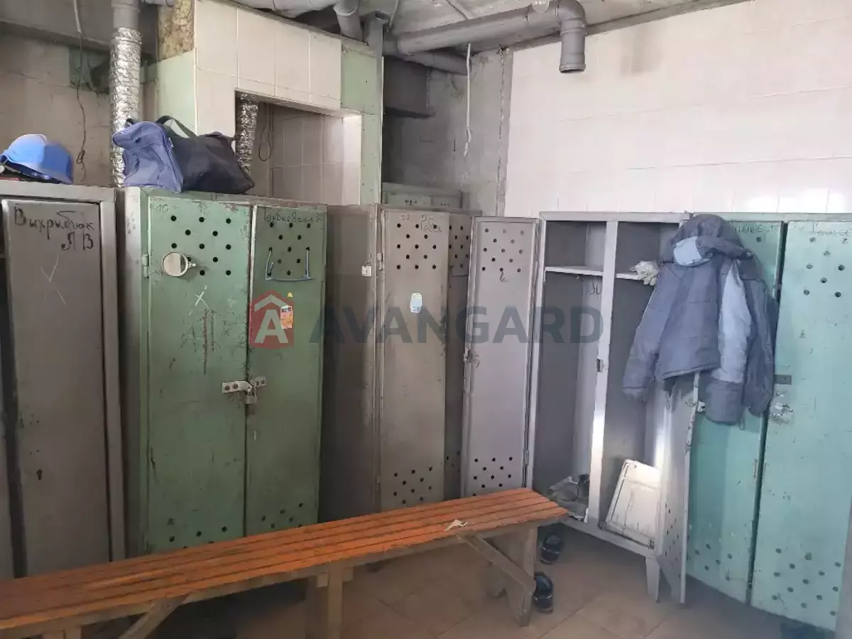 ���������������� ���������, 1900 ��.�. ���� 7