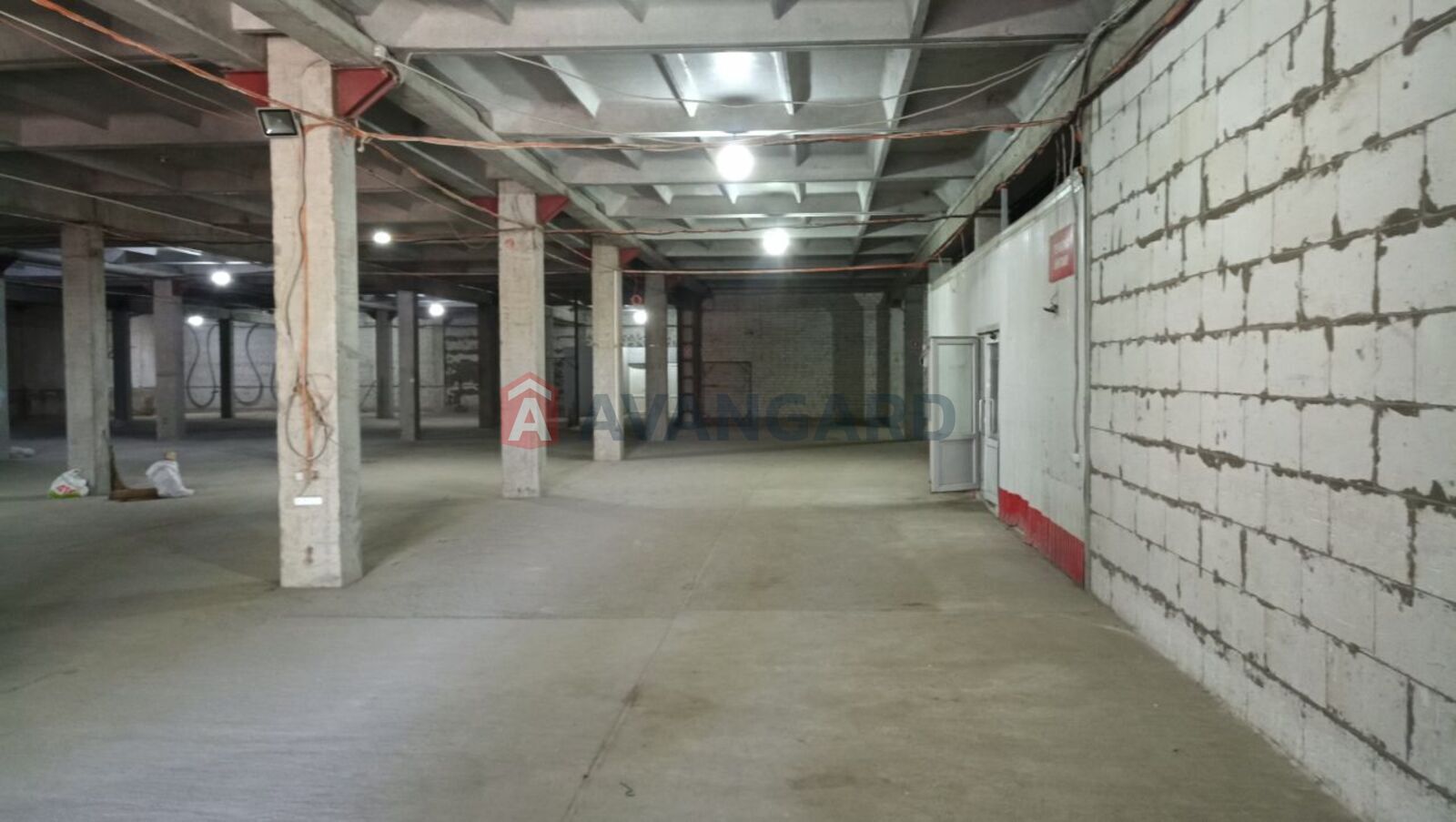 ��������� ���������, 8135 ��.�. ���� 2