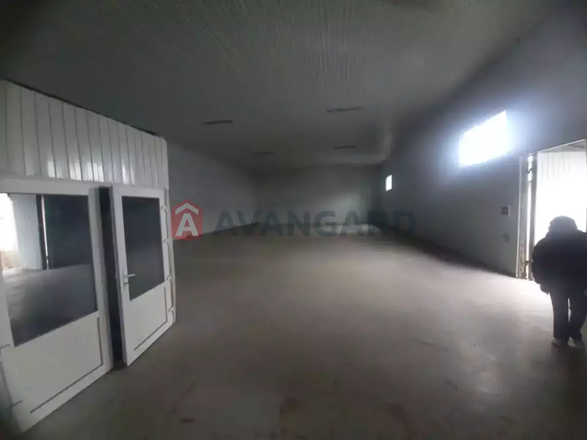 ��������� ���������, 300 ��.�. ���� 5