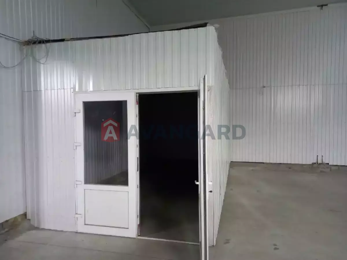 ��������� ���������, 300 ��.�. ���� 6